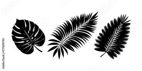 Tropical leaves vector. Set of palm leaves silhouettes isolated on white background. Vector EPS10.