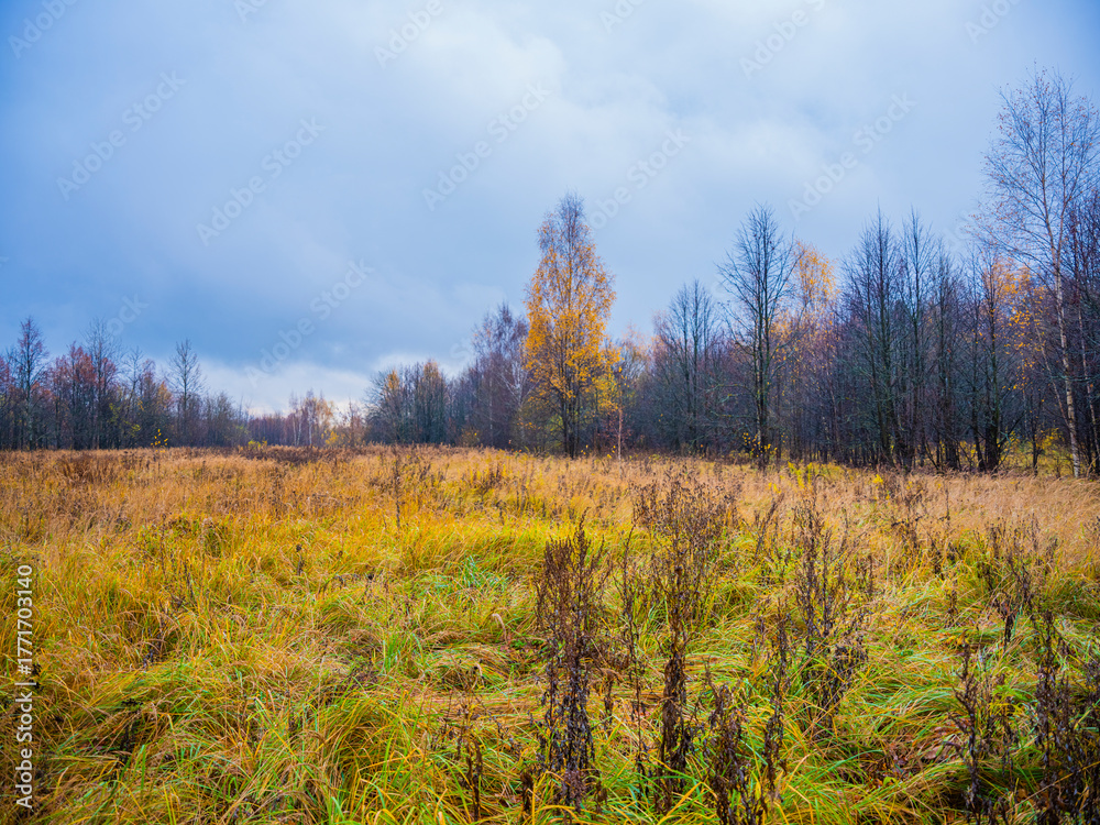 Fototapeta premium autumn landscape sky clouds grass trees