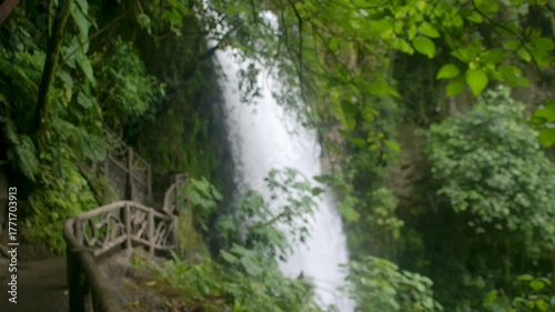 Wallpaper Mural Costa Rica La Paz Waterfall Gardens A shot of the upper half of the Magia Blanca Waterfall Torontodigital.ca