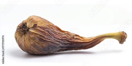 Wallpaper Mural A single, dried fig rests on a white surface. The fig is deeply wrinkled and shriveled, displaying a complex pattern of brown and tan hues Torontodigital.ca