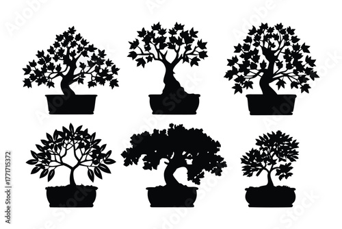Silhouette Bonsai Collection: A curated collection of silhouette bonsai trees showcasing the art of miniature tree cultivation, emphasizing the elegant shapes and delicate forms.