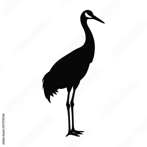 Elegant silhouette of a standing crane bird showing distinctive neck and beak form