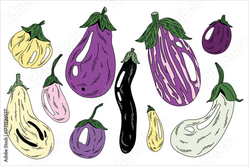 Assortment of raw fresh purple, yellow, black and white eggplants in different shapes for cooking