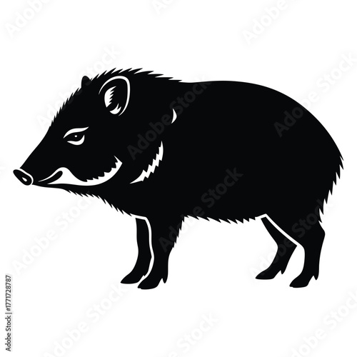 Silhouette of a collared peccary, also known as javelina or musk hog, this image showcases the animals distinctive features