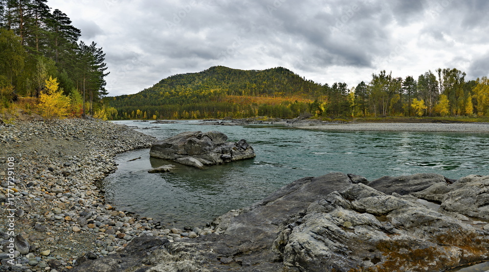 Fototapeta premium Russia. The South of Western Siberia, the Altai Mountains. Picturesque view of the rocky shore of the Katun River in autumn colors near the village of Manzherok.