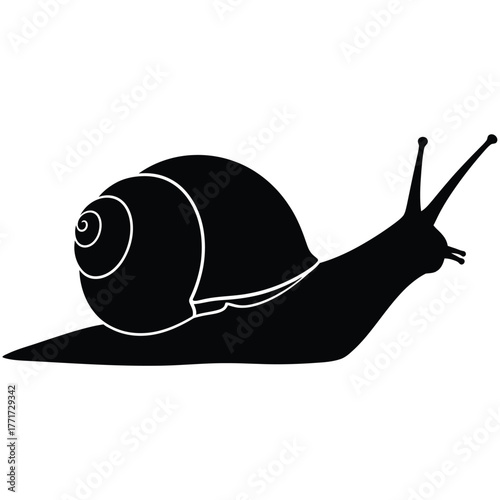 Elegant black silhouette of a snail, showcasing its spiral shell and graceful form against an, ideal for naturethemed designs