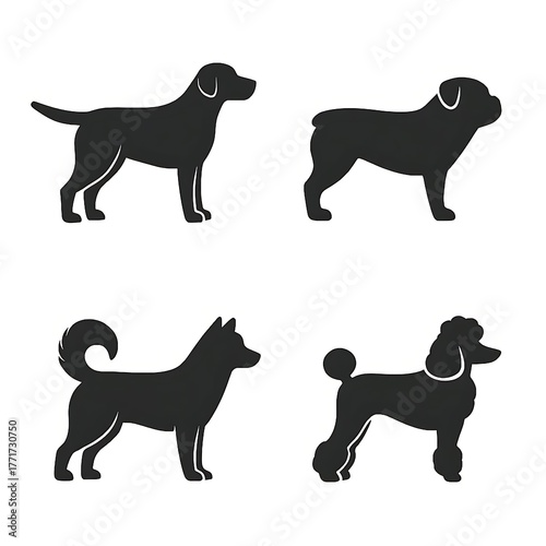 Collection of four distinct dog breed silhouettes showcasing diverse canine forms and poses