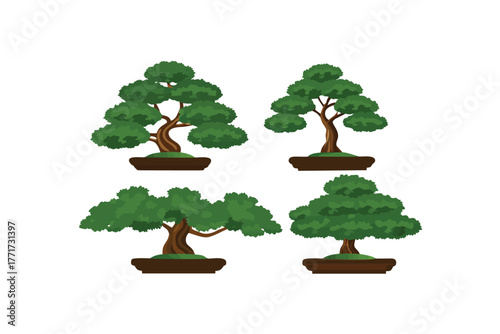 Bonsai Collection: A collection of bonsai trees in various shapes and forms, meticulously shaped, showcasing artistry in horticulture.