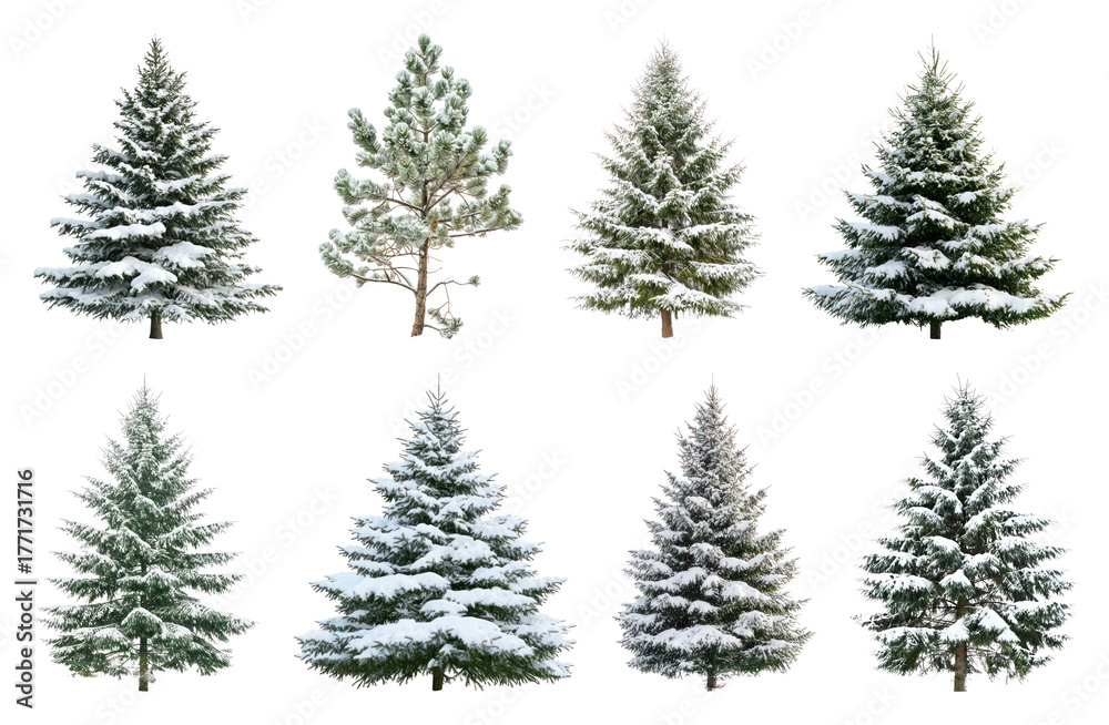 Obraz premium PNG Snow-covered evergreen trees collection, element set on transparent background
