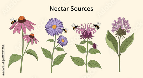 Diverse nectar sources showcasing vibrant flowers and attracting bees for pollination.