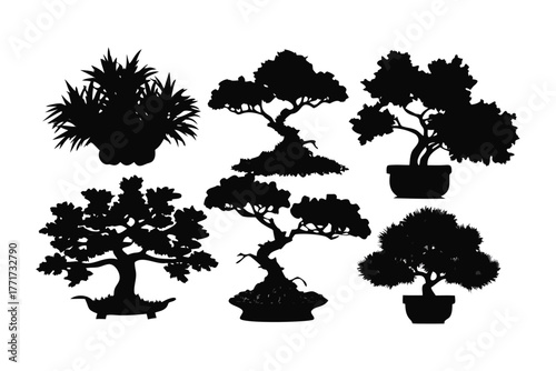 Bonsai silhouettes: A collection of exquisite bonsai trees, each a miniature masterpiece of nature's artistry, meticulously shaped and sculpted to embody tranquility and harmony. 