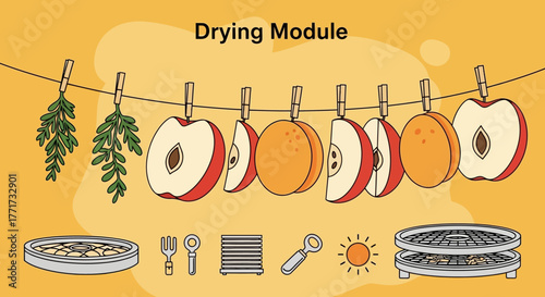 Fresh Apples and Herbs Drying on a Clothesline.