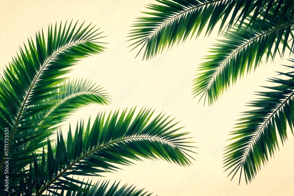 Fototapeta premium PalmLeavesGreenBackground