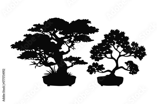 Bonsai Trees Silhouette: Two meticulously sculpted bonsai trees stand in graceful silhouette, their forms a testament to the art of patience and nature's exquisite balance.
