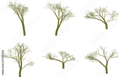 Six bare tree silhouettes with olive green branches on white background vector