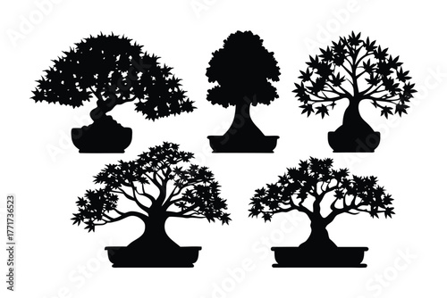 Bonsai Collection in Silhouette: A captivating ensemble of miniature bonsai trees showcased against a stark, pure backdrop, their intricate silhouettes evoking a sense of calm and artful design.