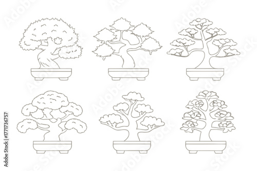 Bonsai Variety Collection: A comprehensive compilation showcasing meticulously crafted bonsai trees, each bearing unique shapes and sizes, presented in individual ceramic pots.