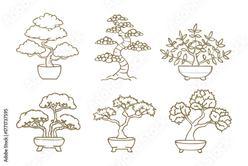 Bonsai trees in pots: This image presents a set of bonsai trees, each carefully cultivated in a pot. These miniature trees represent a blend of nature and art.
