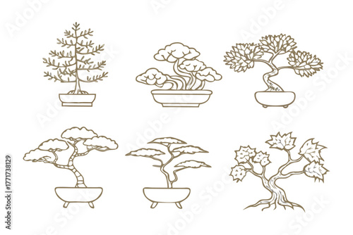 Bonsai Collection: An illustrative collection of Bonsai trees each showcasing unique shapes and artistic designs, perfect for adding a touch of serene artistry.