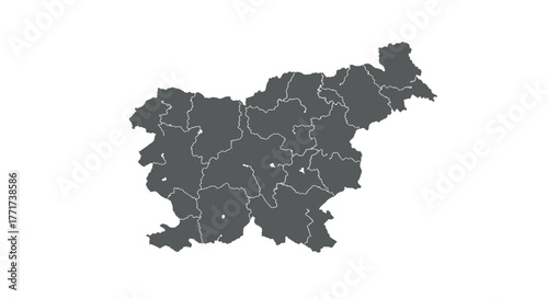 Political map of slovenia with defined regions in gray