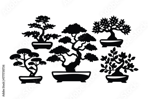 Miniature Marvels: Bonsai Trees: A collection of exquisite bonsai trees, each a miniature masterpiece of nature's artistry, meticulously shaped and cultivated to embody tranquility and harmony.