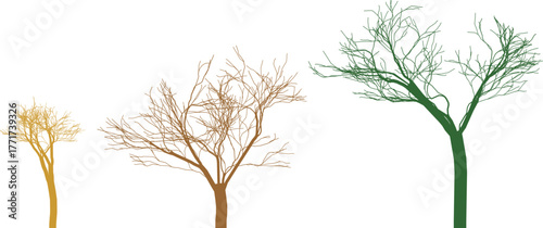 Three stylized trees showing growth stages yellow brown and green vector