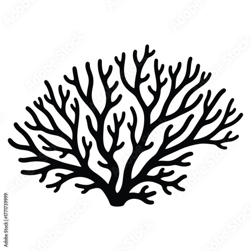Illustration of a black coral branch with many small branches, the coral is symmetrical and organic in shape