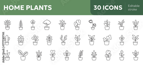collection of home plants icons, botany nature indoor greenery concept