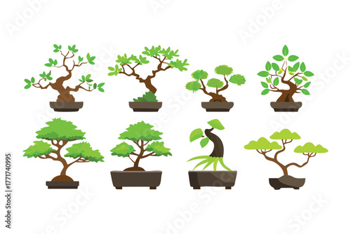 Bonsai Tree Collection: Showcasing a vibrant array of meticulously crafted bonsai trees, each a miniature masterpiece of nature, representing balance, harmony, and the art of cultivation.
