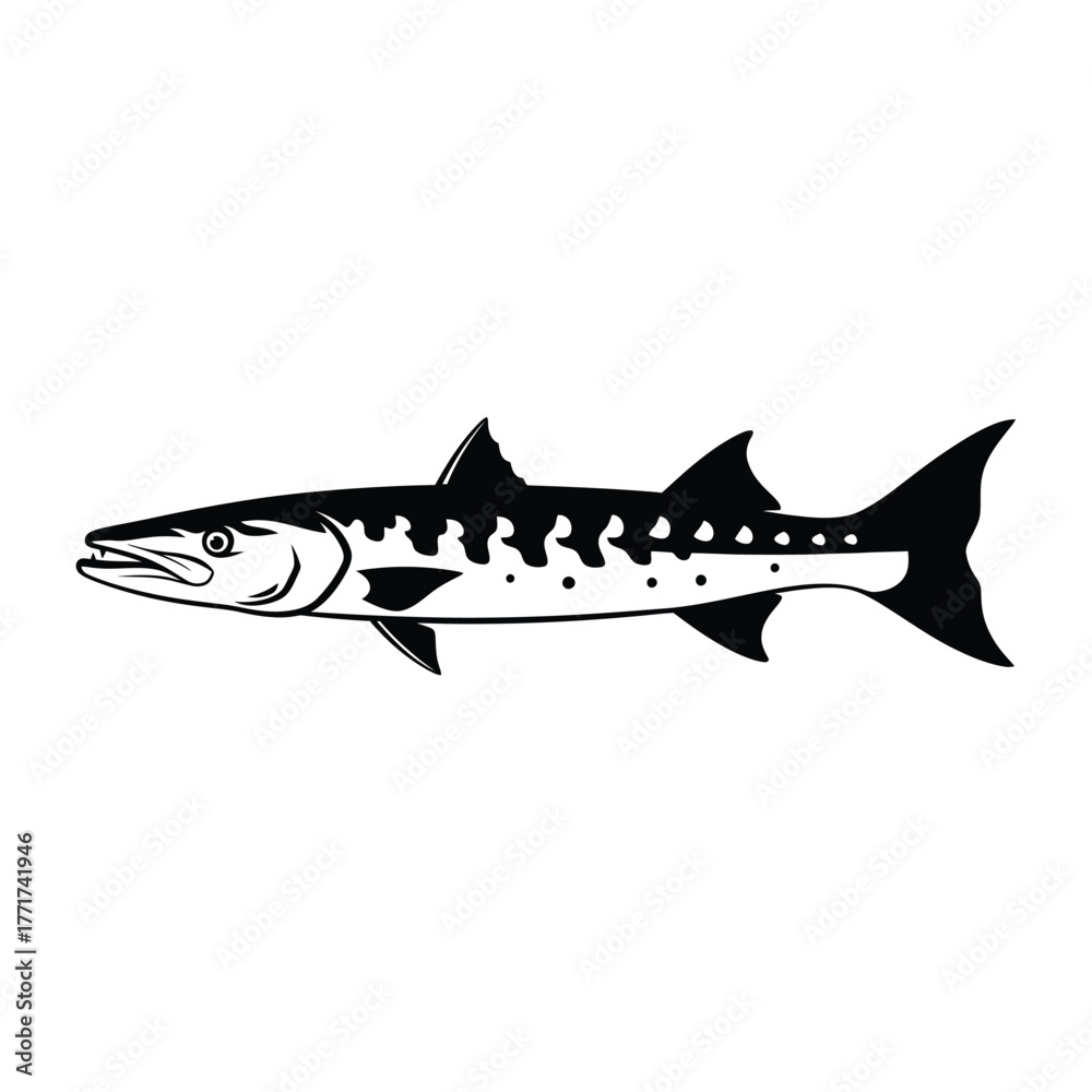 Fototapeta premium Illustration of a barracuda, showcasing its elongated body, pointed head, and sharp teeth, a formidable predator of the ocean