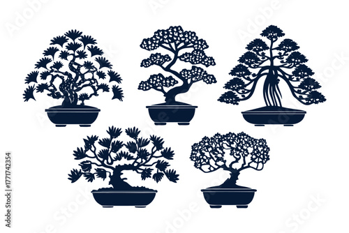 Tranquil Bonsai Ensemble: A carefully curated collection of miniature trees, each a testament to the art of patience, balance, and the beauty of nature's artistry.