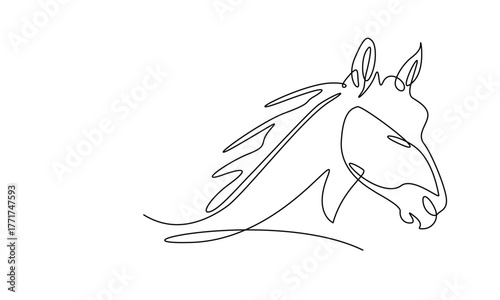 Horse head art in single outline illustration. Continuous line art drawing of wild stallion head.