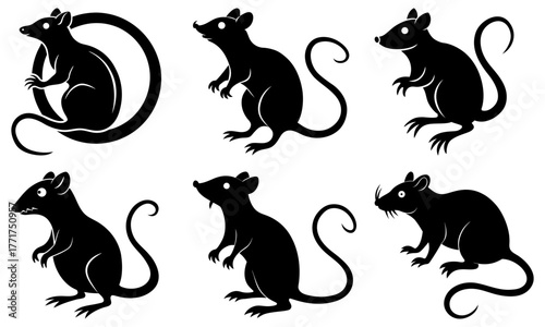 Charming collection of six stylized black rodent silhouettes, perfect for diverse design projects seeking a playful yet sophisticated animal element.