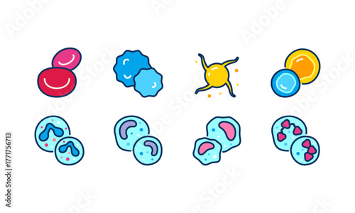 Blood Cells Icons Set. Minimal Linear Illustrations of Erythrocytes, Leukocytes, Platelets, Lymphocyte, Eosinophil, and Other Cell Types for Hematology and Biology Education.