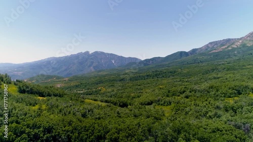 Scenic summer landscape of Utah’s Snowbasin area