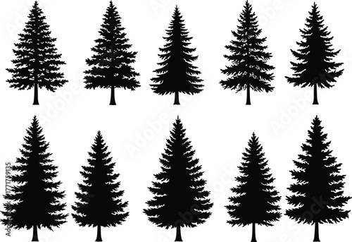 Conifer tree silhouette vector illustration, evergreen forest artwork, pine nature design, botanical woodland graphic, outdoor landscape element, cad drawing flat vector illustration