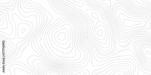 white and  gray contour topo illustrating elevation changes and geographical features with precision. technology modern design white background.
