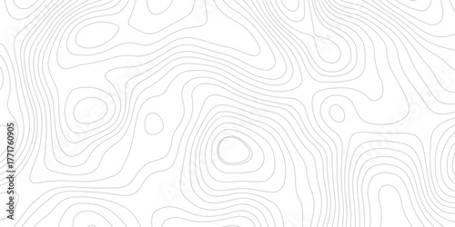 white and  gray contour topo illustrating elevation changes and geographical features with precision. technology modern design white background.