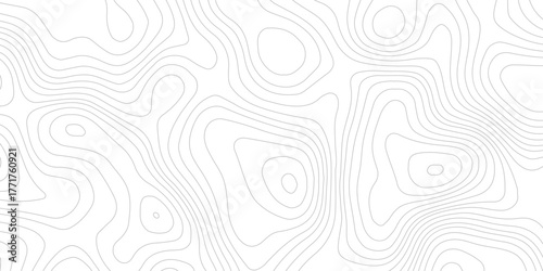 white and  gray contour topo illustrating elevation changes and geographical features with precision. technology modern design white background.