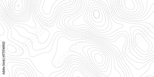 white and  gray contour topo illustrating elevation changes and geographical features with precision. technology modern design white background.