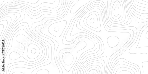 white and  gray contour topo illustrating elevation changes and geographical features with precision. technology modern design white background.