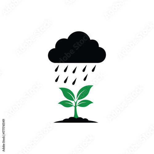 Cloud raining on a small plant growing from soil