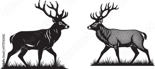 Detailed engraving style illustration of a majestic stag gracefully walking through a lush grassy field at dawn