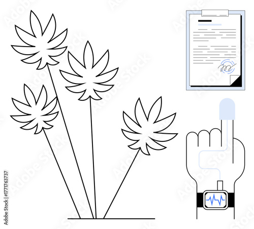 Cannabis leaves, medical report with eye symbol for authentication, wearable device tracking health. Ideal for health, wellness, cannabis industry, biometric tech, authentication, patient care legal