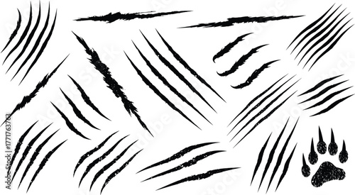 Claw marks, animal scratches, paw print silhouettes, horror slashes, beast tracks, wild textures, aggressive graphics, spooky elements, vector illustration, abstract design