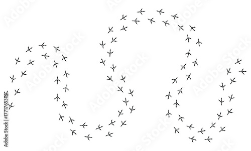 bird tracks footprints on transparent background, path, isolated simple flat style	
