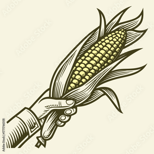 Hand Holding Fresh Ear of Corn Vintage Rough Woodcut Engraving Linocut Style Vector Illustration
