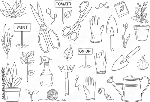 gardening, tools, plants, gloves, scissors, trowel, rake, watering, spray, string, seeds, onion, tomato, mint, garden, artwork