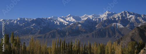 Golden autumn day in Leh, Ladakh, India.