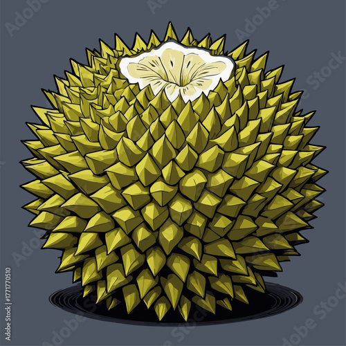realistic durian fruit vector
